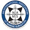 NAMS logo