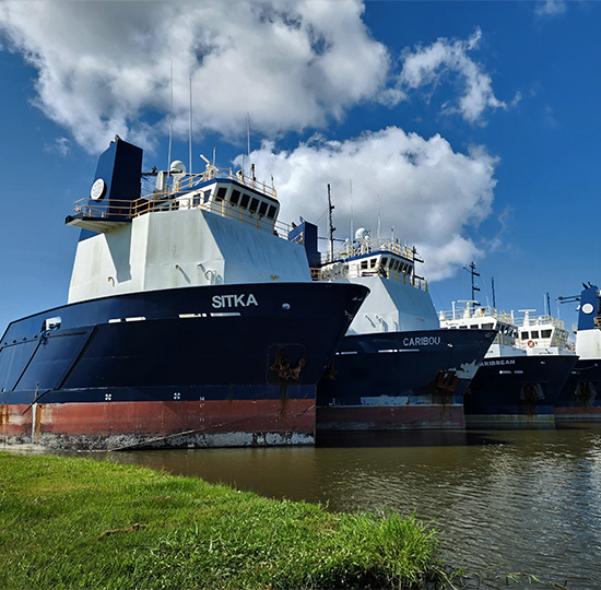 Commercial fishing vessels docked by the waterfront