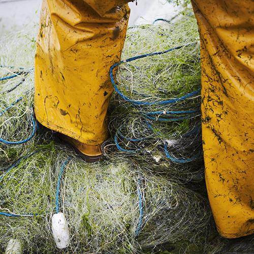 Fisherman in yellow waders standing on tangled fishing nets